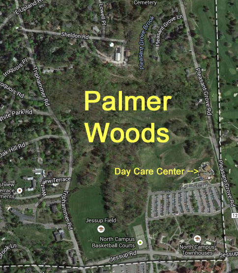Palmer Woods