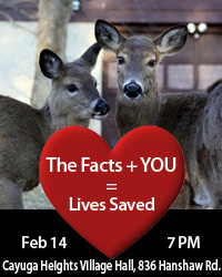 Deer Valentine