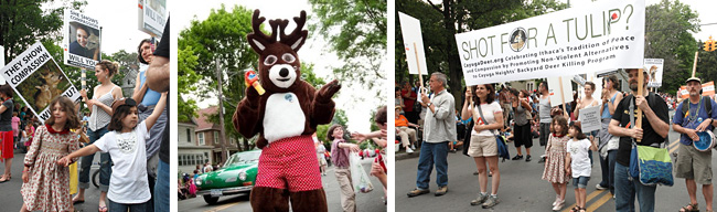 Ithaca Fest - March for Compassion